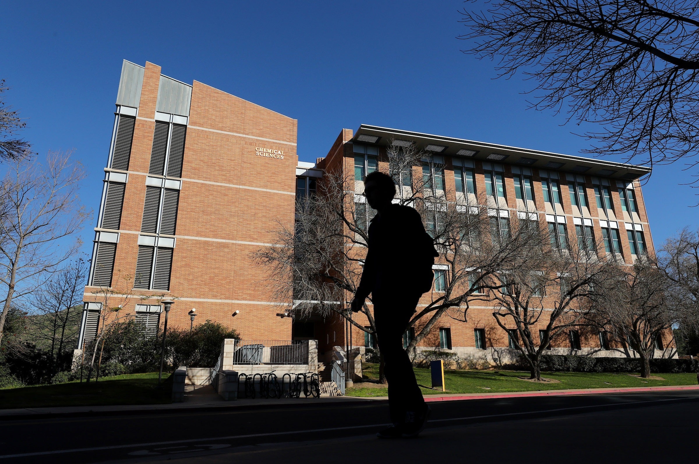 higher education news articles